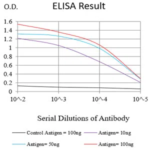 P4HB Mouse Monoclonal Antibody - Size: 100µl