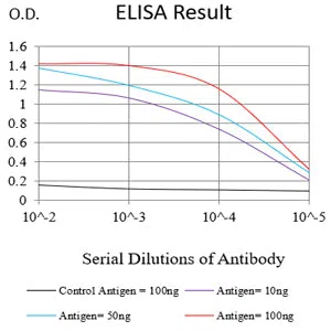 HSP70 Mouse Monoclonal Antibody - Size: 100µl