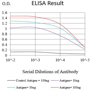 PLAU Mouse Monoclonal Antibody - Size: 100µl