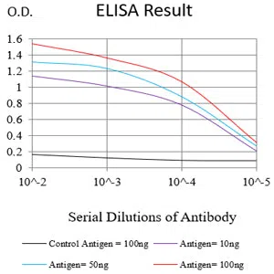 AHNAK Mouse Monoclonal Antibody - Size: 100µl