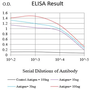 OTUB2 Mouse Monoclonal Antibody - Size: 100µl