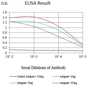 BCL6 Mouse Monoclonal Antibody - Size: 100µl