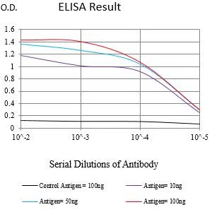C3AR1 Mouse Monoclonal Antibody - Size: 50µl