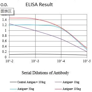 DLG4 Mouse Monoclonal Antibody - Size: 100µl