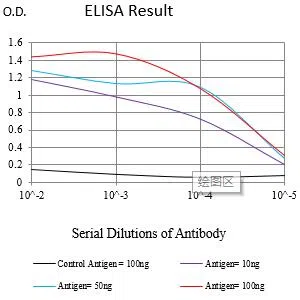 KLK2 Mouse Monoclonal Antibody - Size: 100µl