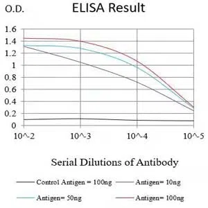 HSPA9 Mouse Monoclonal Antibody - Size: 50µl