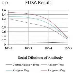 HSPA9 Mouse Monoclonal Antibody - Size: 50µl