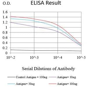 HSPA9 Mouse Monoclonal Antibody - Size: 100µl