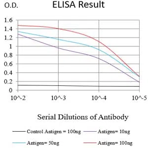 SDHA Mouse Monoclonal Antibody - Size: 100µl