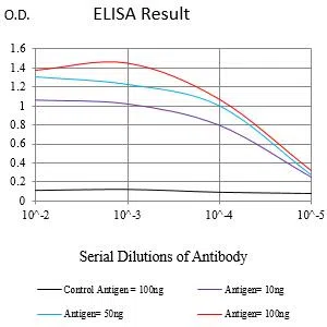 CCNB3 Mouse Monoclonal Antibody - Size: 50µl