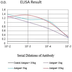 TMEM119 Mouse Monoclonal Antibody - Size: 100µl