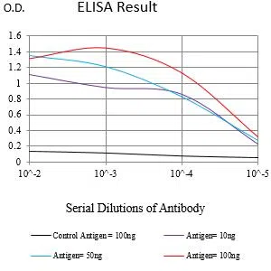 DYRK4 Mouse Monoclonal Antibody - Size: 100µl