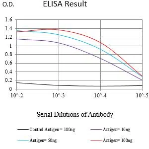 DYRK4 Mouse Monoclonal Antibody - Size: 100µl