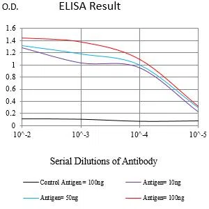 TNNT2 Mouse Monoclonal Antibody - Size: 100µl