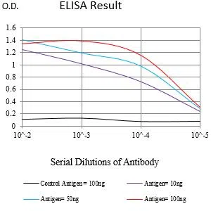 LAMP1 Mouse Monoclonal Antibody - Size: 100µl