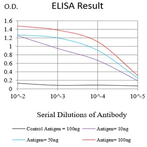 MTDH Mouse Monoclonal Antibody - Size: 100µl