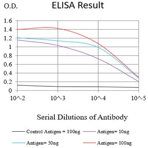 TYRO3 Mouse Monoclonal Antibody - Size: 100µl