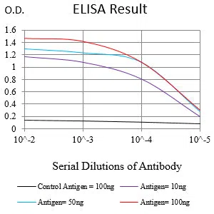 ATP6V0A4 Mouse Monoclonal Antibody - Size: 100µl