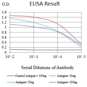 HLA-DRB1 Mouse Monoclonal Antibody - Size: 100µl