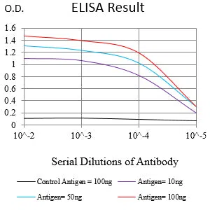 HLA-DRB1 Mouse Monoclonal Antibody - Size: 50µl