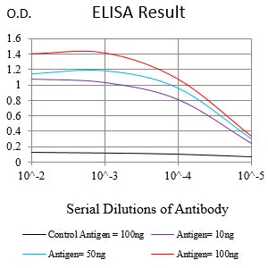 IL10RB Mouse Monoclonal Antibody - Size: 100µl