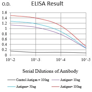 DCLK2 Mouse Monoclonal Antibody - Size: 50µl
