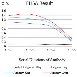 KRT14 Mouse Monoclonal Antibody - Size: 100µl
