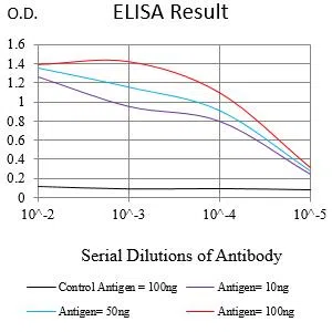LRRK2 Mouse Monoclonal Antibody - Size: 100µl