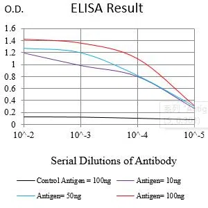 POU5F1 Mouse Monoclonal Antibody - Size: 50µl