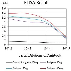 SPATA19 Mouse Monoclonal Antibody - Size: 100µl