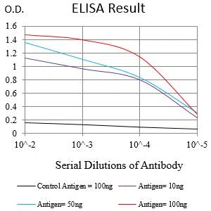 SPATA19 Mouse Monoclonal Antibody - Size: 100µl