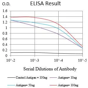 NPM2 Mouse Monoclonal Antibody - Size: 100µl