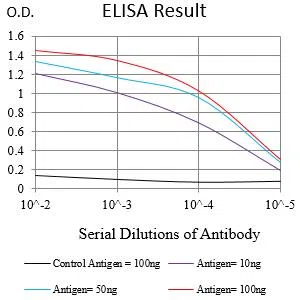 NPM2 Mouse Monoclonal Antibody - Size: 100µl