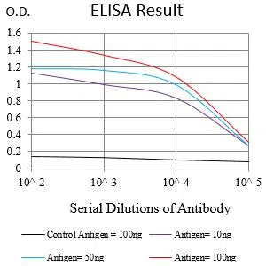XPC Mouse Monoclonal Antibody - Size: 100µl