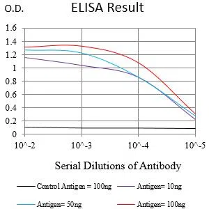 KRT14 Mouse Monoclonal Antibody - Size: 100µl