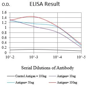 SLC45A3 Mouse Monoclonal Antibody - Size: 100µl