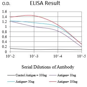 IZUMO4 Mouse Monoclonal Antibody - Size: 100µl