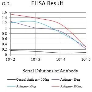 CD79B Mouse Monoclonal Antibody - Size: 100µl