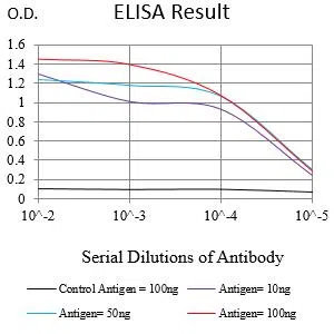 HNF1B Mouse Monoclonal Antibody - Size: 50µl