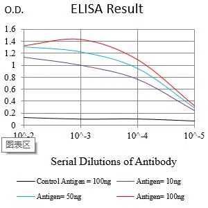 JAM3 Mouse Monoclonal Antibody - Size: 100µl