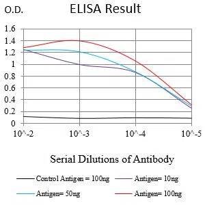 AFP Mouse Monoclonal Antibody - Size: 100µl