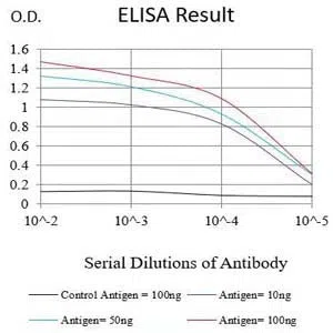 C9orf72 Mouse Monoclonal Antibody - Size: 100µl
