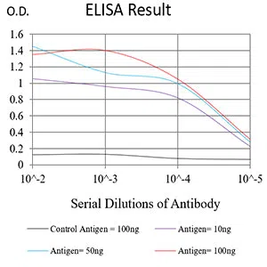 NOTCH4 Mouse Monoclonal Antibody - Size: 100µl