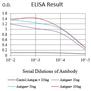 CPT2 Mouse Monoclonal Antibody - Size: 50µl