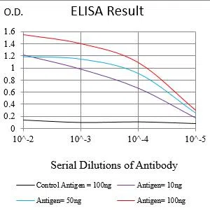 S100A4 Mouse Monoclonal Antibody - Size: 100µl