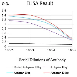 CD54 Mouse Monoclonal Antibody - Size: 50µl
