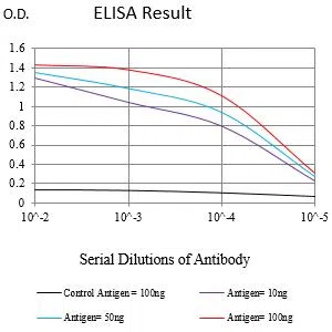 CD82 Mouse Monoclonal Antibody - Size: 50µl