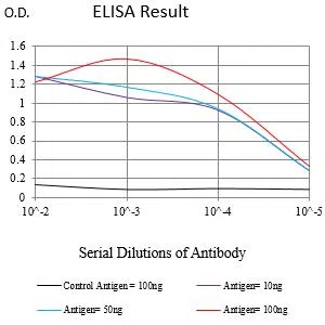 HLA-DPB1 Mouse Monoclonal Antibody - Size: 100µl