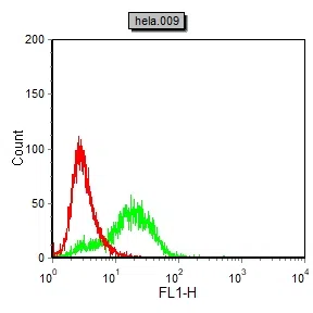 IL6 Mouse Monoclonal Antibody - Size: 100µl