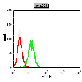 AHNAK2 Mouse Monoclonal Antibody - Size: 100µl